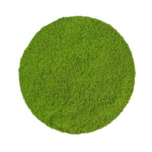 Japan Matcha ONE BIO